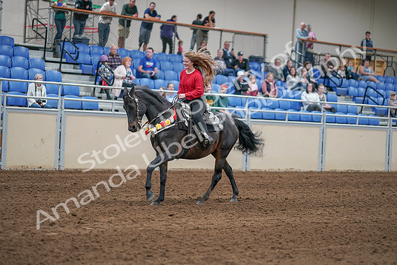 2020 - AB Morgan Horse - Sat, Sept 05 - 10454