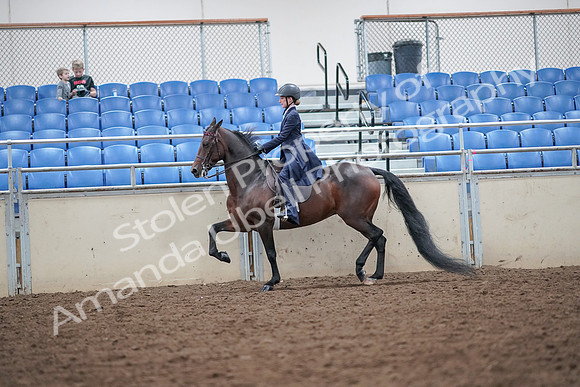 2019 Morgan Horse Show - Aug 30, 2019 - 17876