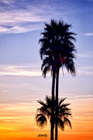 Landscapes - US - 017