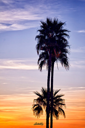 Landscapes - US - 017