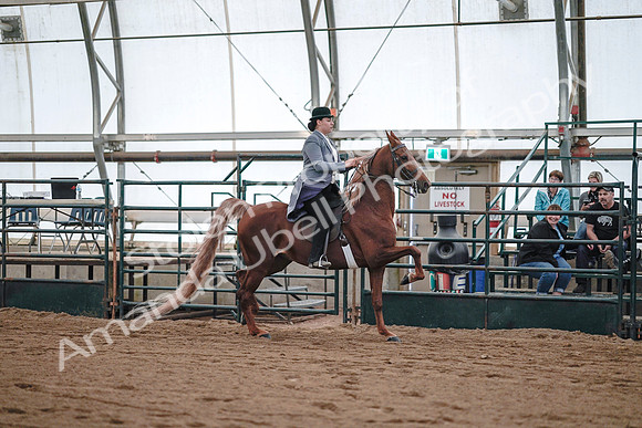 July 20, 2019 - 17133