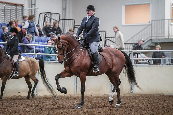 Spring Fling - Saturday - April 20, 2019  -  03765