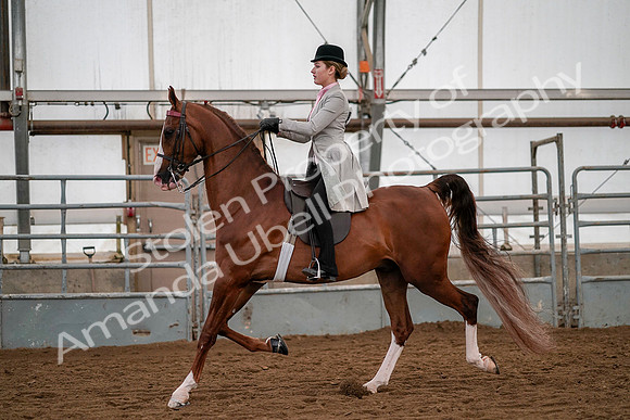 July 19, 2019 - 10442
