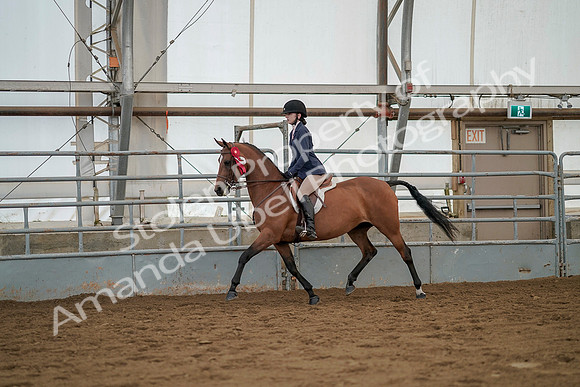 July 20, 2019 - 03503