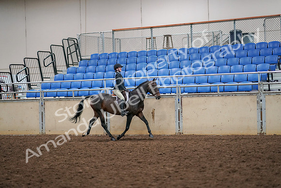 2019 Morgan Horse Show - Aug 30, 2019 - 12415