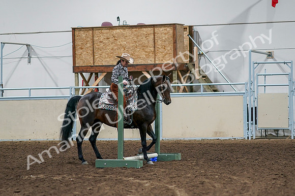 2020 - AB Morgan Horse - Fri, Sept 04 - 00352