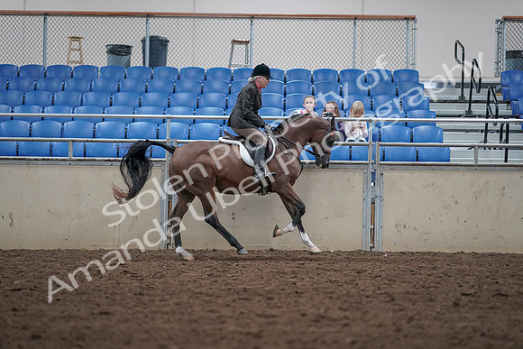 2019 Morgan Horse Show - Aug 31, 2019 - 16143
