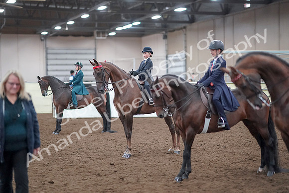 2019 Morgan Horse Show - Aug 30, 2019 - 18188