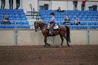 2019 Morgan Horse Show - Sept 01, 2019 - 06766