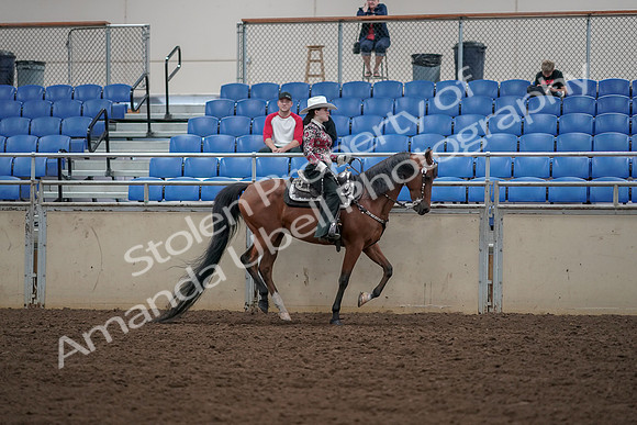 2019 Morgan Horse Show - Aug 30, 2019 - 26195