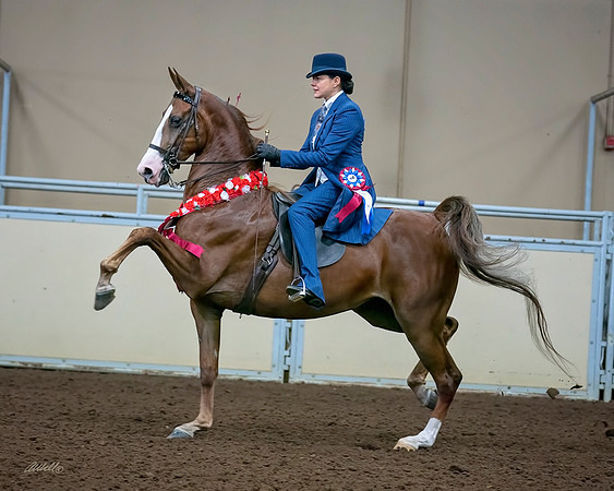 Tomanek - MHS - Sept 02, 2018 - 003032