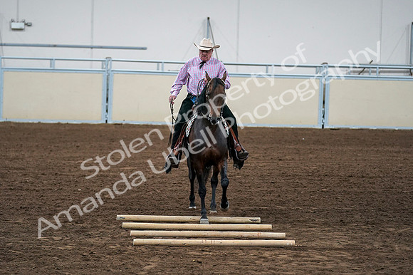 2020 - AB Morgan Horse - Fri, Sept 04 - 00572