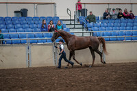 2019 Morgan Horse Show - Aug 31, 2019 - 02586