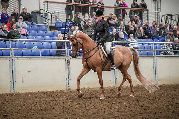 Spring Fling - Saturday - April 20, 2019  -  04608