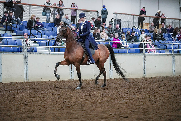 Spring Fling - Saturday - April 20, 2019  -  00660