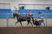 2019 Morgan Horse Show - Aug 31, 2019 - 10264
