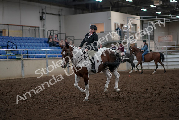 2019 Morgan Horse Show - Aug 30, 2019 - 31277