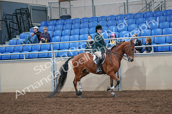 2020 - AB Morgan Horse - Sat, Sept 05 - 05176