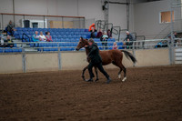 2019 Morgan Horse Show - Aug 30, 2019 - 25537