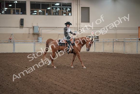 2019 Morgan Horse Show - Aug 30, 2019 - 26218