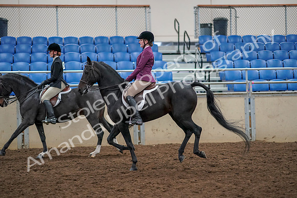2019 Morgan Horse Show - Aug 30, 2019 - 23429