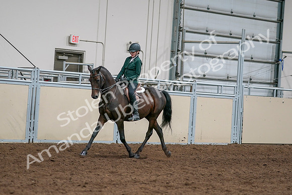2020 - AB Morgan Horse - Sat, Sept 05 - 05029