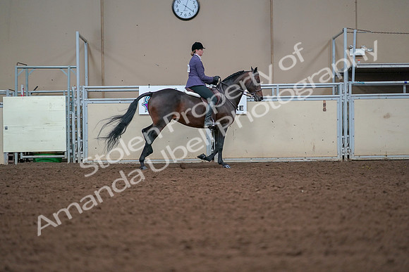 2019 Morgan Horse Show - Aug 30, 2019 - 20961