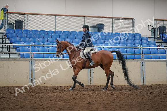 2019 Morgan Horse Show - Aug 30, 2019 - 22255