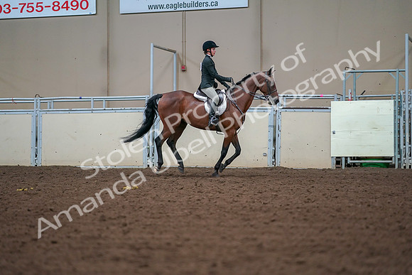 2019 Morgan Horse Show - Aug 30, 2019 - 21033