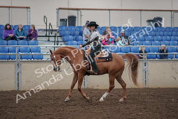 2019 Morgan Horse Show - Aug 30, 2019 - 26104