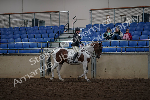 2019 Morgan Horse Show - Aug 30, 2019 - 31399