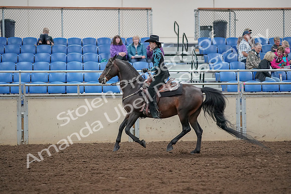 2019 Morgan Horse Show - Aug 30, 2019 - 26091