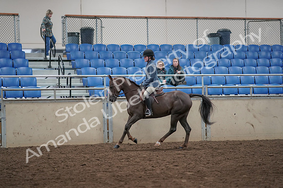 2019 Morgan Horse Show - Aug 31, 2019 - 07338