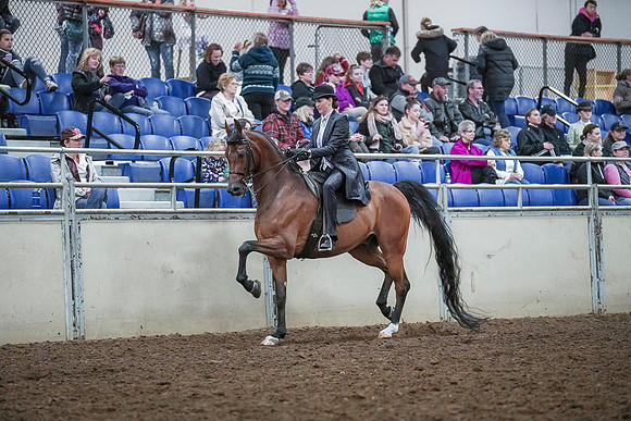 Spring Fling - Saturday - April 20, 2019  -  00639