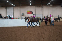 2019 Morgan Horse Show - Aug 31, 2019 - 18880