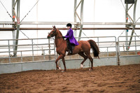 Class 084 - All Breed English Pleasure - Open