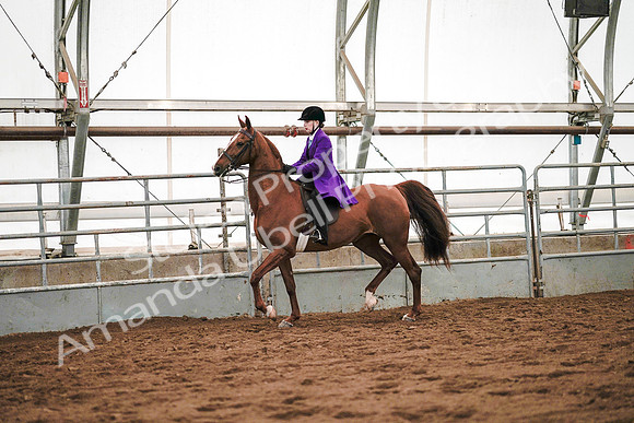 July 20, 2019 - 21576