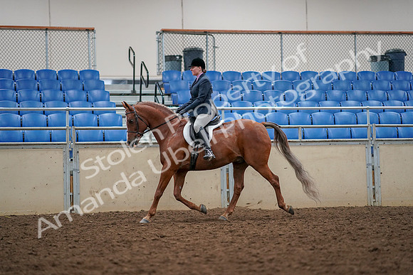 2019 Morgan Horse Show - Aug 30, 2019 - 22305