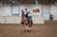 2020 - AB Morgan Horse - Sat, Sept 05 - 11368