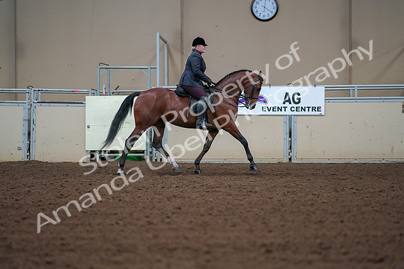 2019 Morgan Horse Show - Aug 30, 2019 - 20698
