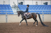 2019 Morgan Horse Show - Sept 01, 2019 - 05480