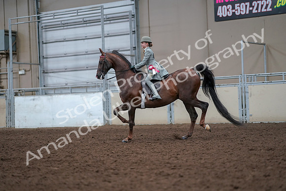 2019 Morgan Horse Show - Aug 30, 2019 - 18273