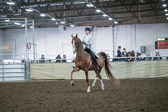Spring Fling - Saturday - April 20, 2019  -  00406
