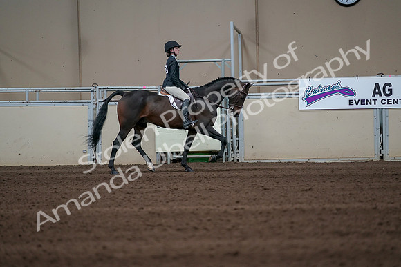 2019 Morgan Horse Show - Sept 01, 2019 - 03868