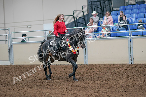 2020 - AB Morgan Horse - Sat, Sept 05 - 10505