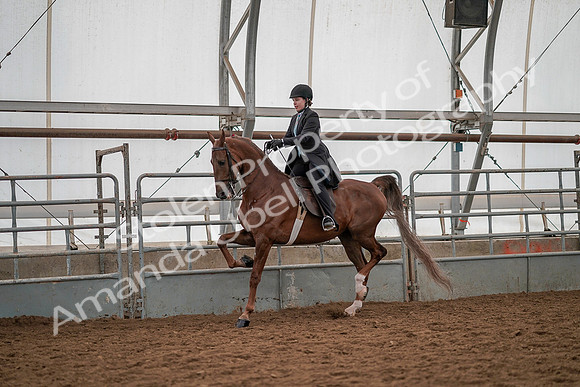 July 19, 2019 - 13156