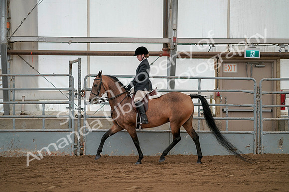 July 19, 2019 - 2551