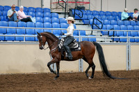 2020 - AB Morgan Horse - Sat, Sept 05 - 08883