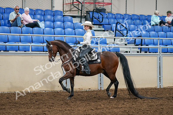 2020 - AB Morgan Horse - Sat, Sept 05 - 08883