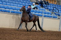 2020 - AB Morgan Horse - Fri, Sept 04 - 03630